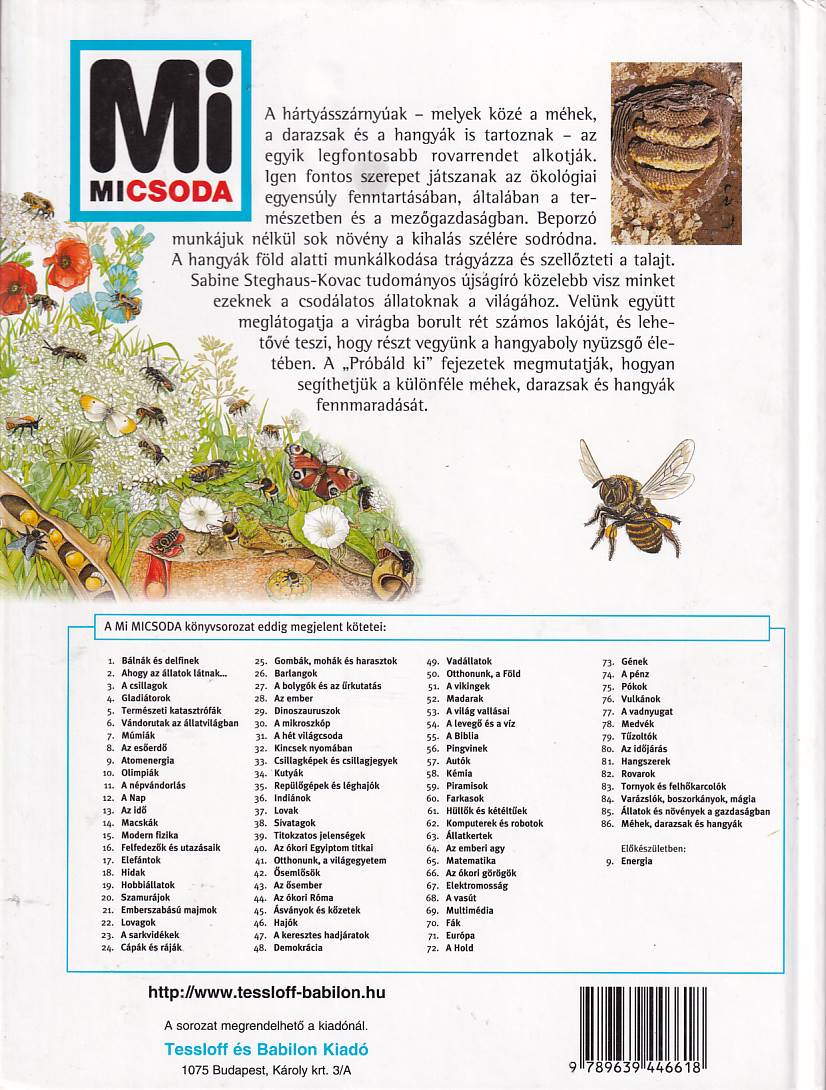 Méhek, darazsak és hangyák
