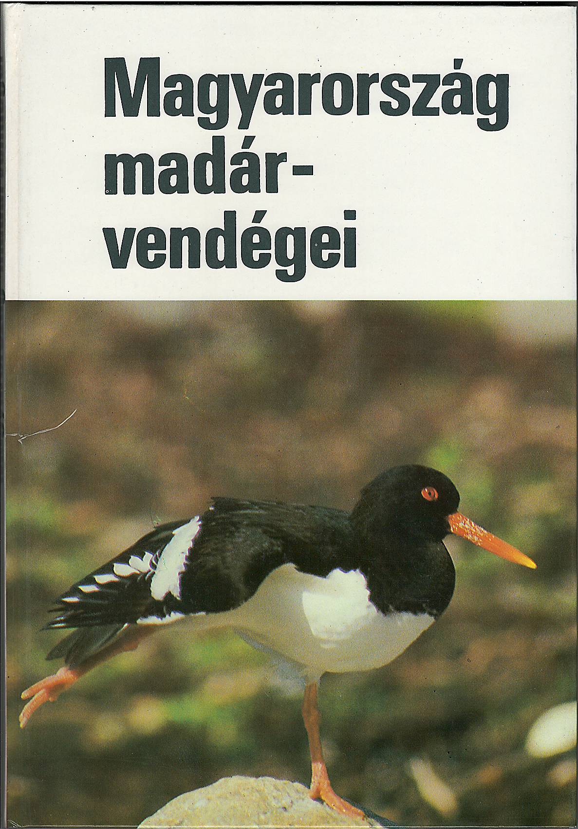 Magyarország madárvendégei