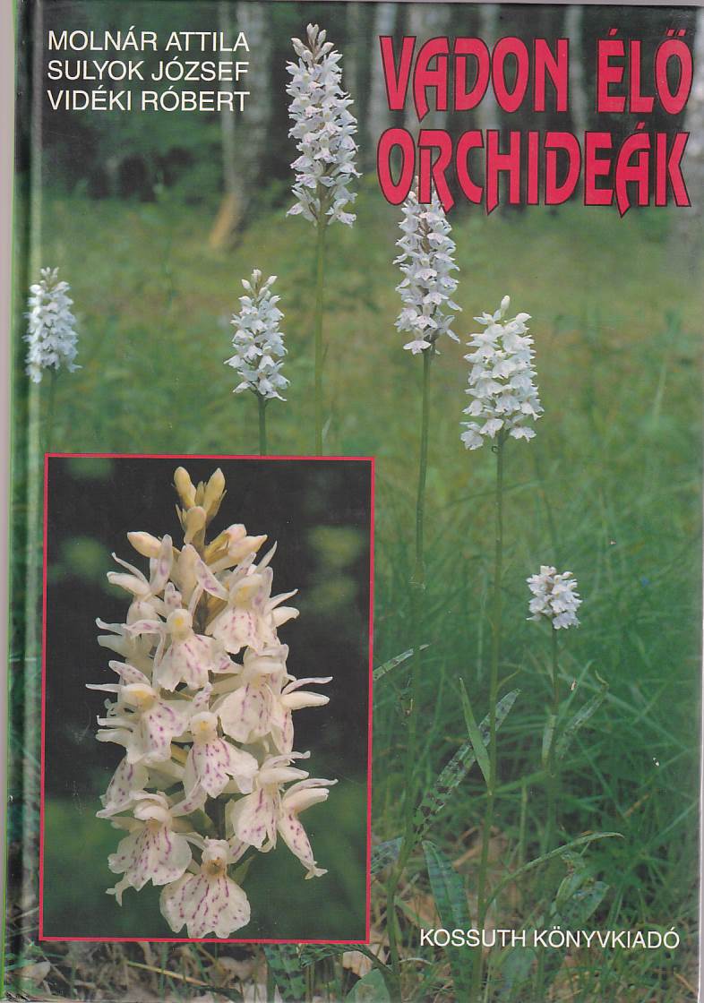 Vadon élő orchideák