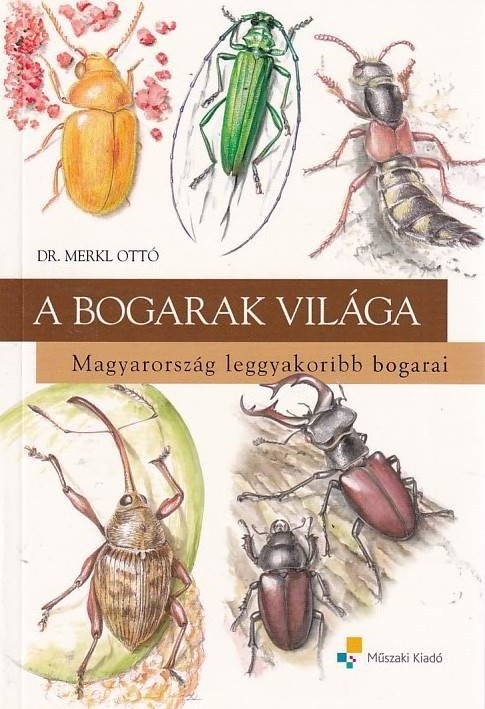 A bogarak világa