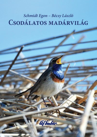 Csodálatos madárvilág